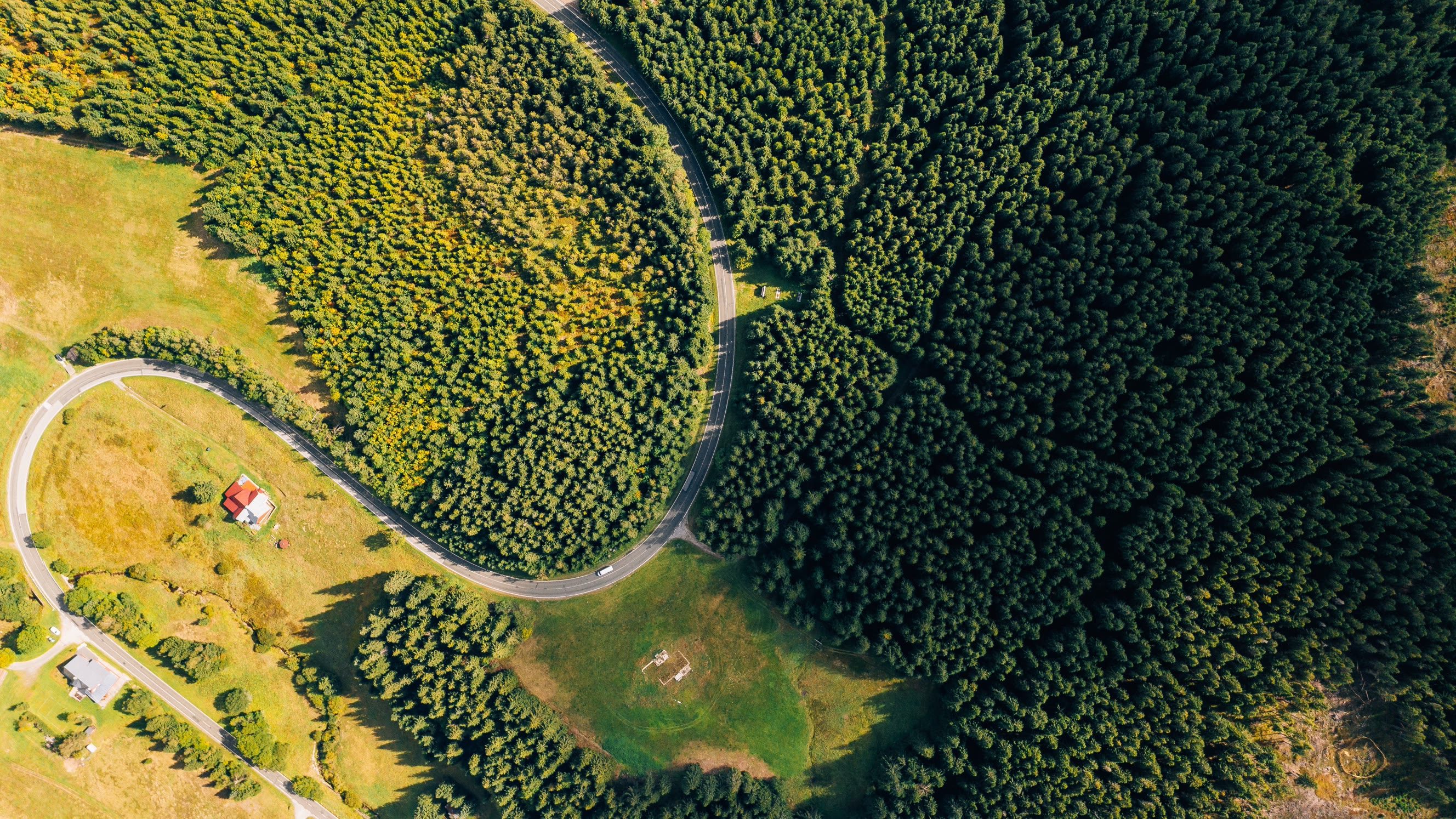 Dronefoto av en svingete vei gjennom skog, med en rydning og et lite hus